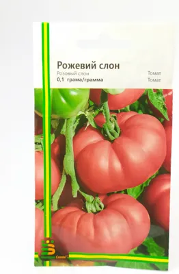 Семена томата \"Розовый слон\", производитель GL Seeds - «Вкусные, сахарные»  | отзывы