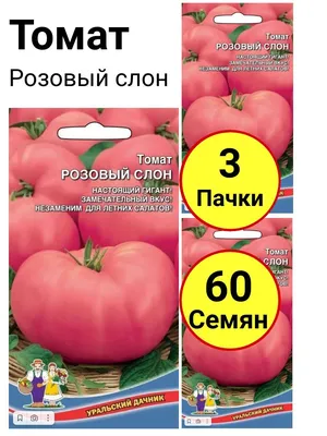 Семена томата Розовый слон Империя Семян Украина 0,1 г – фото, отзывы,  характеристики в интернет-магазине ROZETKA от продавца: ROMANOVA | Купить в  Украине: Киеве, Харькове, Днепре, Одессе, Запорожье, Львове