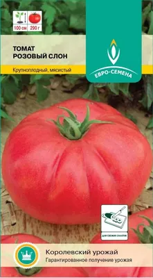 5 легендарных томатов – от советских времен до наших дней Агроуспех