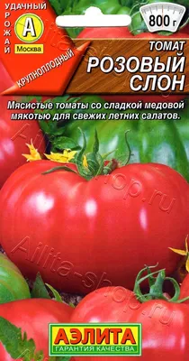 Томат Розовый слон 20шт, семена | Купить в интернет магазине Аэлита