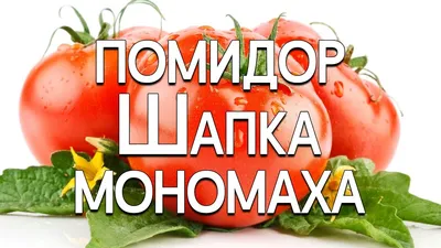 Томат Шапка Мономаха