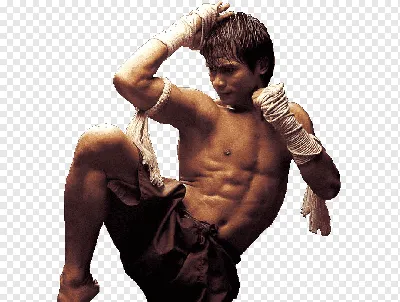 ดาวน์โหลด Tony Jaa HD Wallpaper APK สำหรับ Android