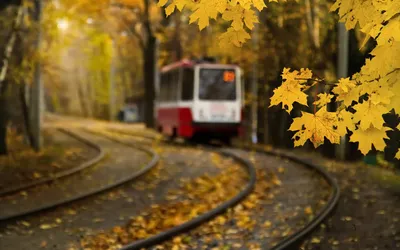 Московский трамвай уехал в осень - обои на рабочий стол