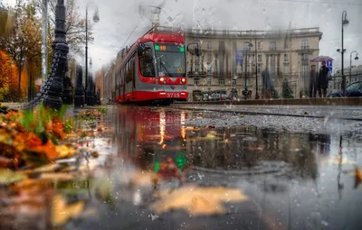 Осенний трамвай - 63 фото