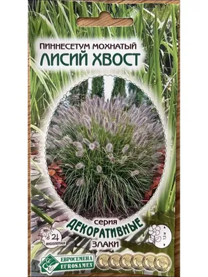 Сорта декоративной травы для ландшафтного дизайна участка 🌱 | Школа  садовода | Дзен