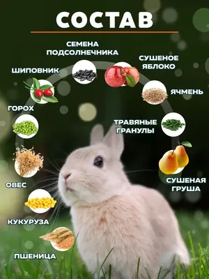 All about rabbits. Все о кроликах.