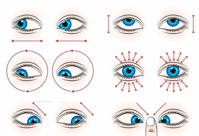 Лечебная гимнастика для глаз