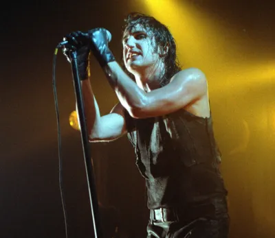 «Pretty Hate Machine» Nine Inch Nails в 30 лет: Как Трент Резнор пережил вражду между лейблами и создал один из лучших дебютных альбомов | Независимый | Независимый