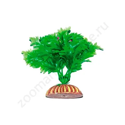 Купить Растение ТРИТОН пластмассовое 13см 1351 недорого по цене  120руб.|Garden-zoo.ru