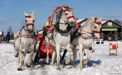 Русская тройка | SmolBattle