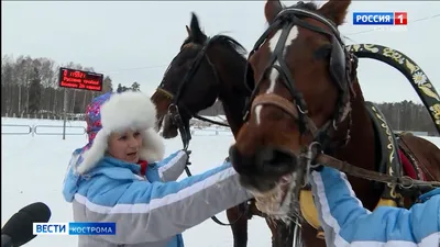 ПРОГУЛКИ НА ЛОШАДЯХ: катание на конях, русская тройка, конные туры и  верховая езда на Алтае - База отдыха \"Русский Дом\"