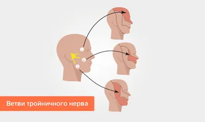 Блокады: симптомы, диагностика, лечение в Херсоне | Neuro.ks.ua.