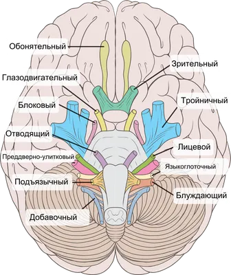 Боль в лице: причины, виды, лечение | МЦ AXON (Херсон).