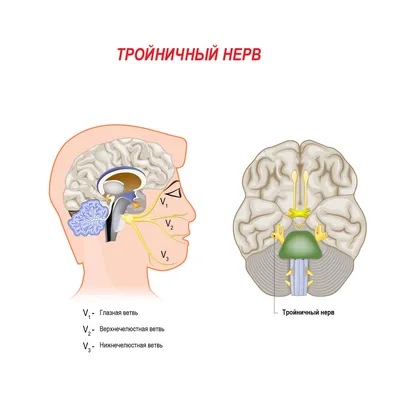 Невралгия тройничного нерва - симптомы и причины - Медицинский центр