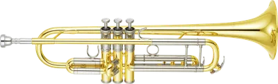 Статья о Трубе | Музыкальные инструменты, материалы, строение, виды, сурдины