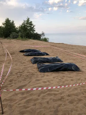 На пляже в Заволжском районе обнаружили огражденные черные мешки для трупов.  Фото и видео места ЧП Улпресса - все новости Ульяновска