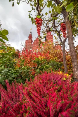 кремль крепость в центре москвы Фото Фон И картинка для бесплатной загрузки  - Pngtree