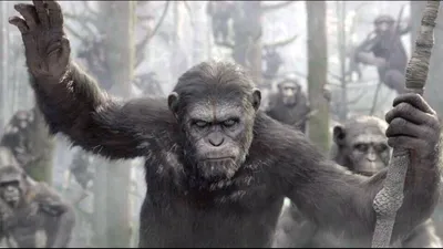 Фильмы в Google Play – Восстание планеты обезьян