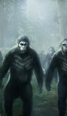Планета обезьян: Королевство – смотрите трейлер – когда выйдет в кино –  Люкс ФМ