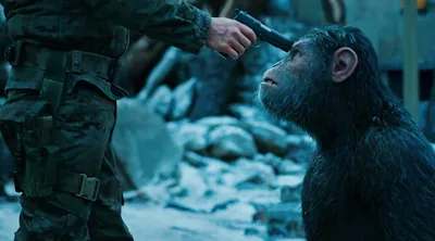 Планета обезьян: Революция\": новые кадры с Гари Олдманом и другими