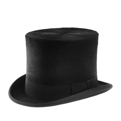 Шляпа цилиндр CHRISTYS FUR TALLER TOP HAT cst100007 (черный) купить за  38990 RUB в Интернет магазине | Страница 100007