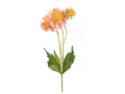 Цветок искусственный Циния 744740 – купить по цене 411 ₽ в Москве в  интернет-магазине ogogo.ru