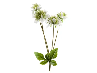 Цветок искусственный Циния 744738 – купить по цене 457 ₽ в Москве в  интернет-магазине ogogo.ru