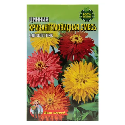 Купить Циния Хризантемовидная смесь семена цветы однолетние, большой пакет  3 г, цена 14.90 грн — Prom.ua (ID#1130528783)
