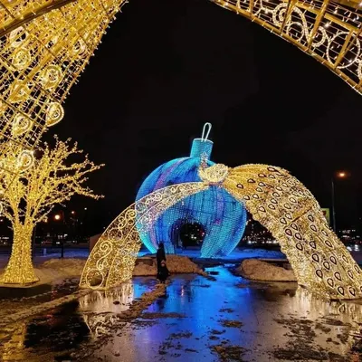 Москва 🇷🇺 Куда можно сходить? on Instagram: “Тоннель из светящихся  павлинов на Проспекте Вернадского недалеко от цирка 😍 .. Фото: @vladim… |  Павлин, Цирк, Москва