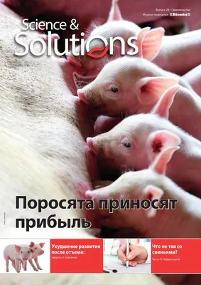 Pig Signals Russian Edition by Roodbont Publishers - Issuu