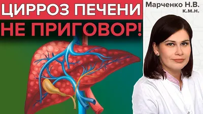 Всего один продукт: врач пояснил, что нужно есть для здоровья печени -  31.08.2023 | Rnews.ru