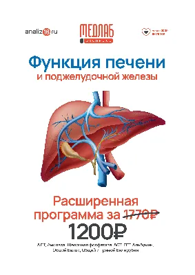 Диета стол 5 циррозе | PO-PEVZNERU