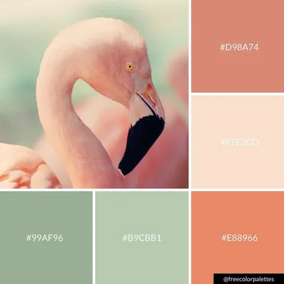 Flamingo | Pink and Green |Color Palette Inspiration. | Digital Art Palette  And Brand Color Palette. | Green colour palette, Color, Brand color palette