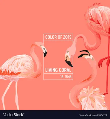 2019 coral color background flamingo design Vector Image