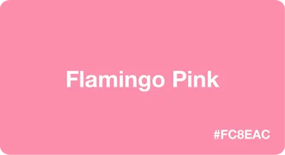 Flamingo Pink Color