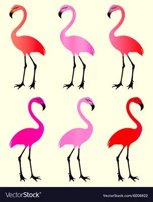 Flamingo 6 color variations Royalty Free Vector Image