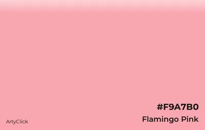 Flamingo Pink Color | ArtyClick