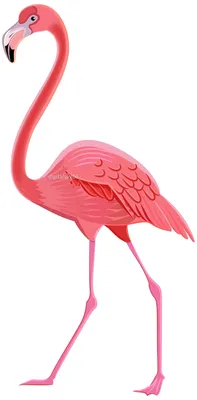 Ion Flamingo Semi Permanent Hair Color Flamingo - Walmart.com