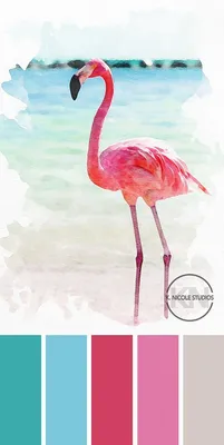 Flamingo with geometric objects in summer concept in trending color palette  for advertising with Generative AI 23294066 Stock Photo at Vecteezy
