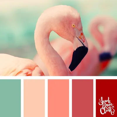 Christmas Flamingo Art Color | Felix Et Bonbon