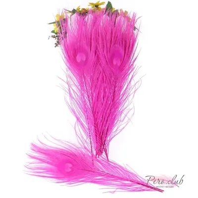 Цветные перья павлина 25-30 см. Цвет фуксия купить высокого качества, с  самой дешевой доставкой во все страны.