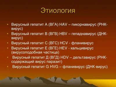 PPT - Вирусные гепатиты PowerPoint Presentation, free download - ID:5612194