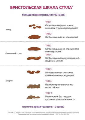 Аллохол Меняет Цвет Кала – Telegraph