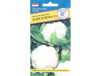 Капуста цветная Коза-дереза 0,3г (Биотехника. Семена из Голландии)(Семена)  купить по цене 68 ₽ в интернет-магазине KazanExpress