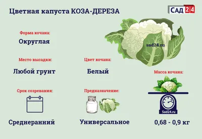 Коллекционные семена капусты цветная Коза Егоза — купить в  интернет-магазине по низкой цене на Яндекс Маркете