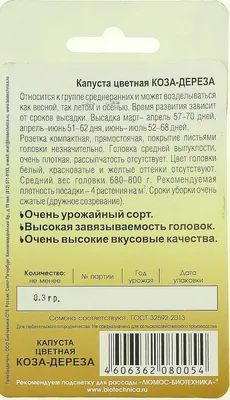 Выращивание цветной капусты на участке: выбор сорта, посадка, уход, видео |  Компания «Большая земля»