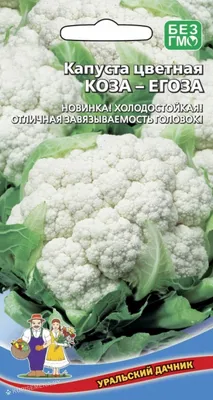 капуста ДЕКОРАТИВНАЯ - mydobro seeds