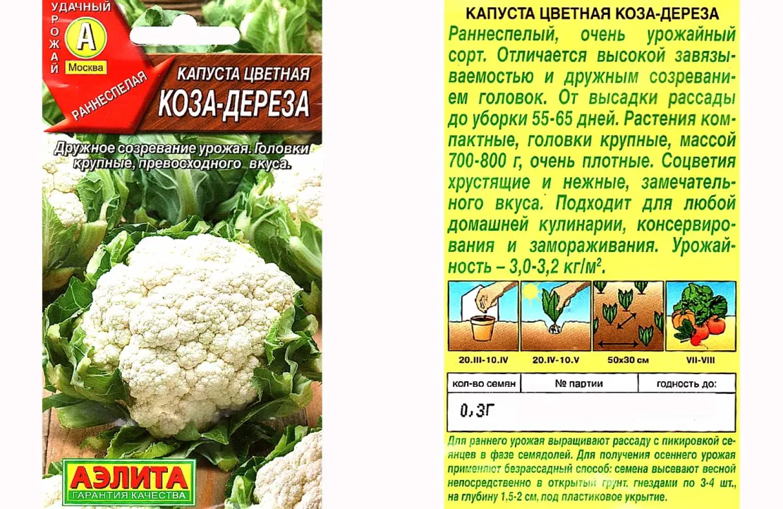 Цветная капуста коза описание. Капуста цветная коза Дереза. Капуста коза Дереза семена. Сорт капусты коза Дереза.