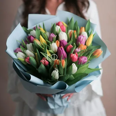 Какие цветы дарят на 8 марта девушкам, женщинам и коллегам
