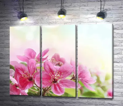 ᐉ Модульная картина ArtPoster Ветка розовых цветочков яблони 60x47 см  Модуль №11 (002789)